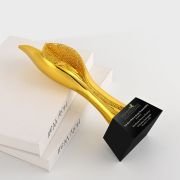 Best Social Responsibility Award