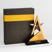 Excellent Team Trophy