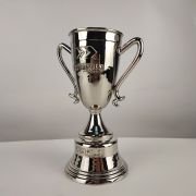 football fifa trophies