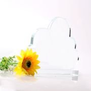 Best management trophy