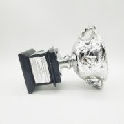Silver trophy