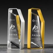 Contribution award trophy