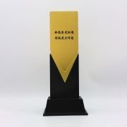 Outstanding expert Trophy