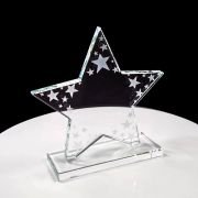 Enterprise Star trophy