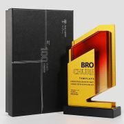Design Games trophy