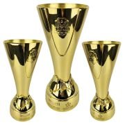 School trophy
