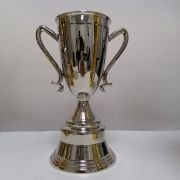 football fifa trophies