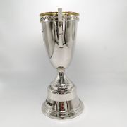 Football championship trophy custom