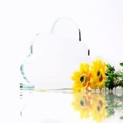 Best management trophy