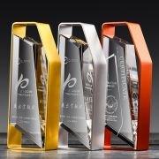 Contribution award trophy