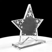 Enterprise Star trophy