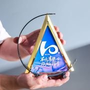 Strategic Partner Trophy