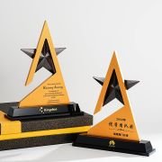 Excellent Team Trophy