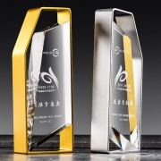 Contribution award trophy
