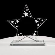 Enterprise Star trophy