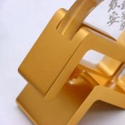 Rising Star Role Model Award