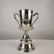 football fifa trophies