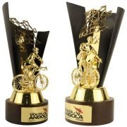 trophy bikes​