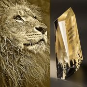 Miss trophy