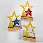 all star trophy​