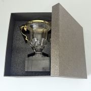 best trophy in sports​