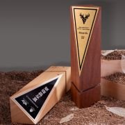 crown awards and trophies