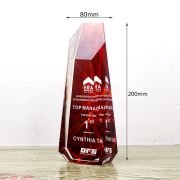 crystal awards custom​