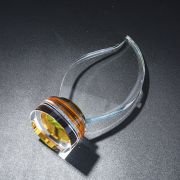 crystal cup trophy