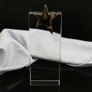 crystal engraved awards
