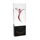 custom-acrylic-trophy​-01.jpg