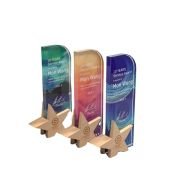 employee of the month trophy