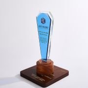 loser trophy​