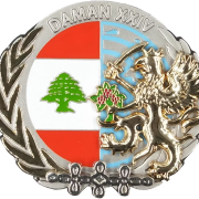 marine corps medallion