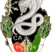 marine corps medallion