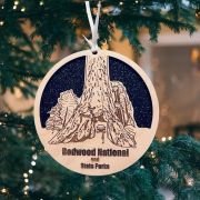 national park medallions