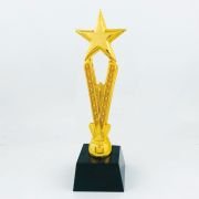 new country artist of the year