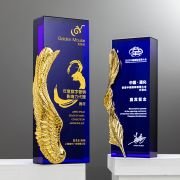 particpation trophy​