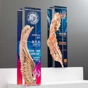 particpation trophy​