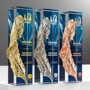 particpation trophy​