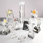 rookie of the year trophy