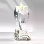 rookie of the year trophy