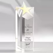 rookie of the year trophy