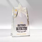 rookie of the year trophy