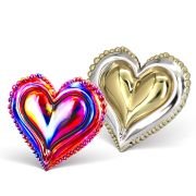 silver medal shooter