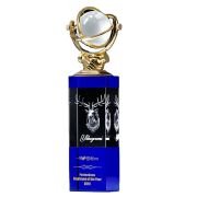 stylized 3d trophie