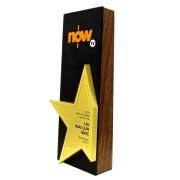 team trophy ideas