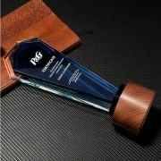 trophies for sale​