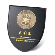 wood for plaques​