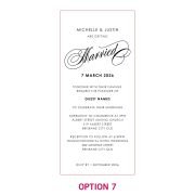 DL Engraved Mirror Acrylic Wedding Invitations