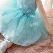 Embroidered Blue Plush Dancer Doll